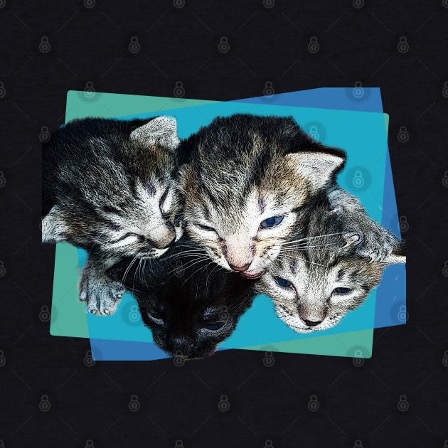 Kittens Cute by Markyartshop